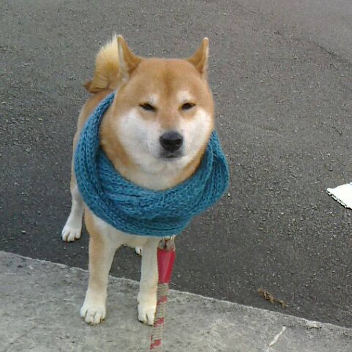 6af82a7c 5061 4941 b8ed d7c343ae0e55