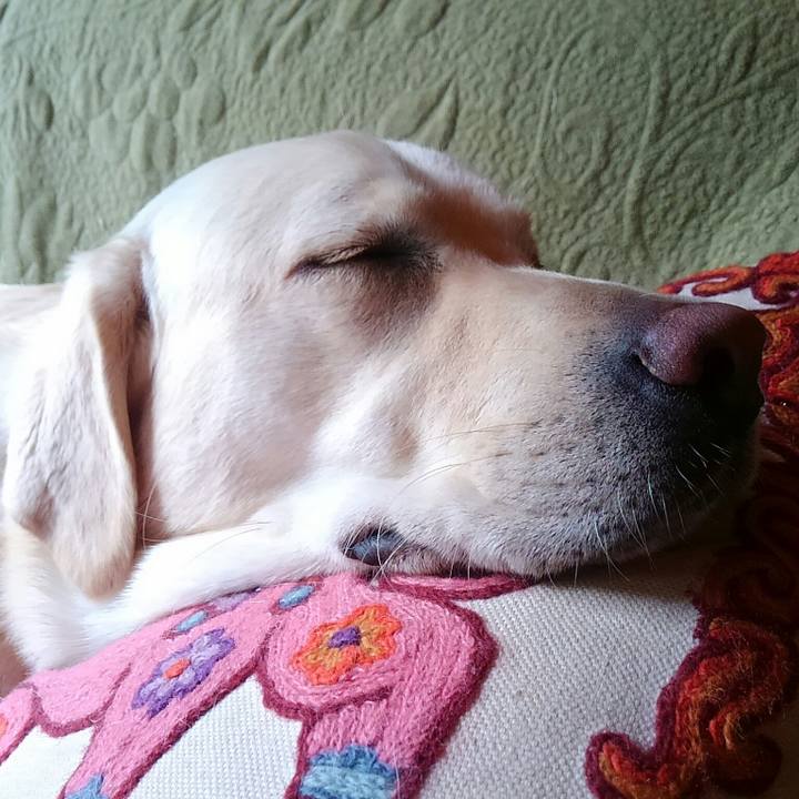 6af839ed 802d 4c28 8ab2 d5356607228d