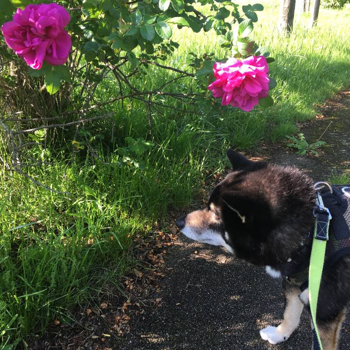 6af8b83c f035 416b b559 70869fa28078