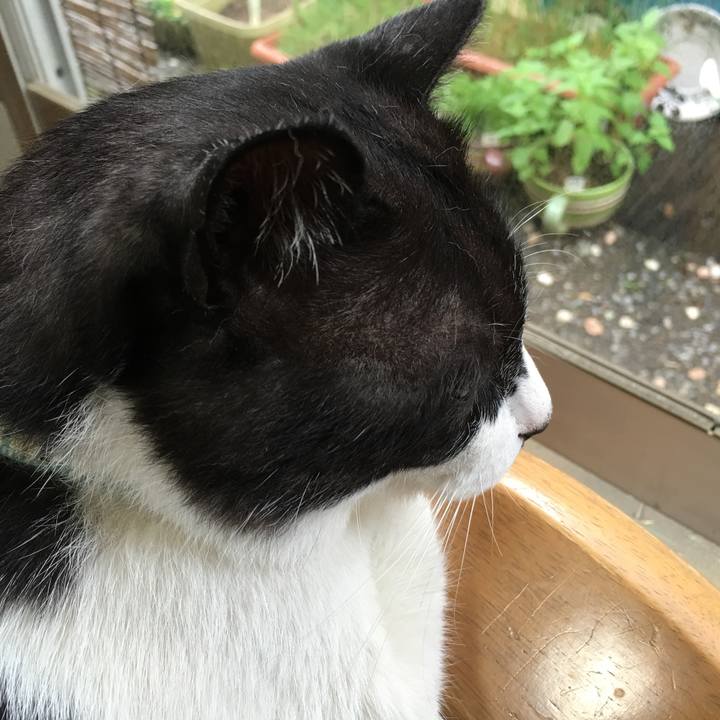 6af912dc 1d85 4bcb bc1c 5e4eb1acfb8a