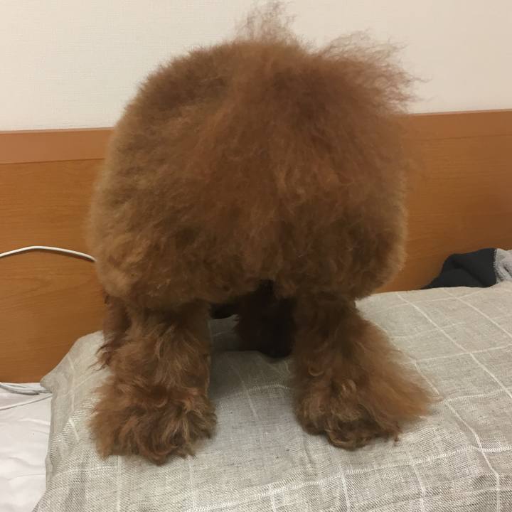 6af9495f a140 48f9 aa5c 233d35e09739