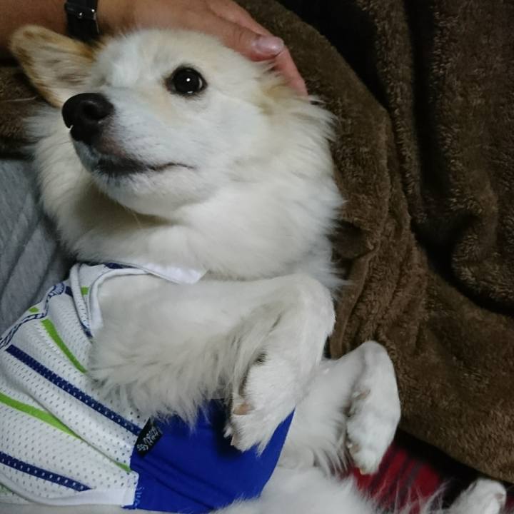 6af96ad7 a275 4134 a666 d453f885d772