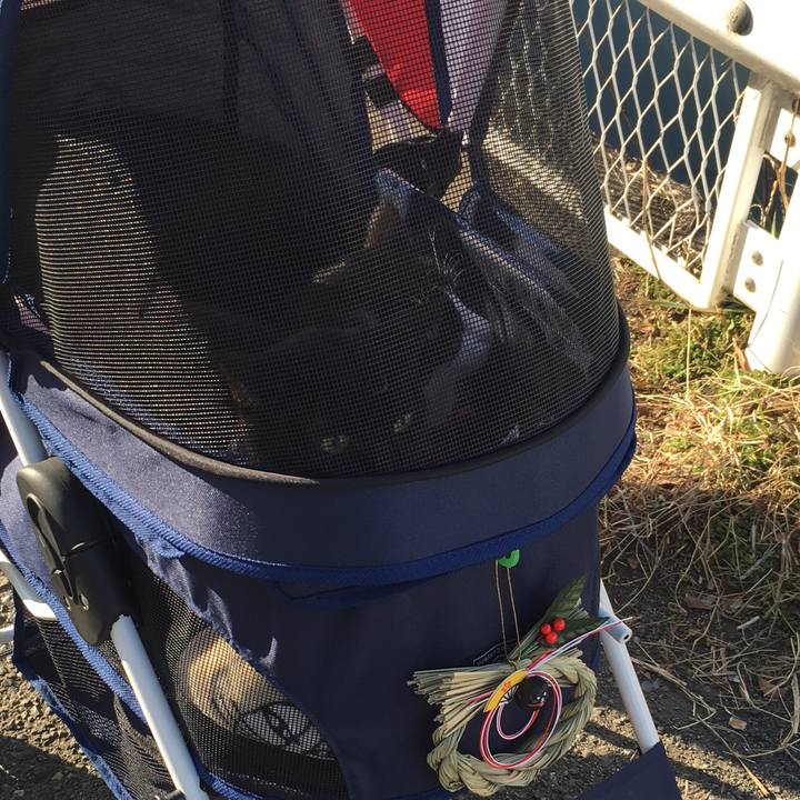 6af9ba59 c0be 4cad 9d87 53ab9197ddc4