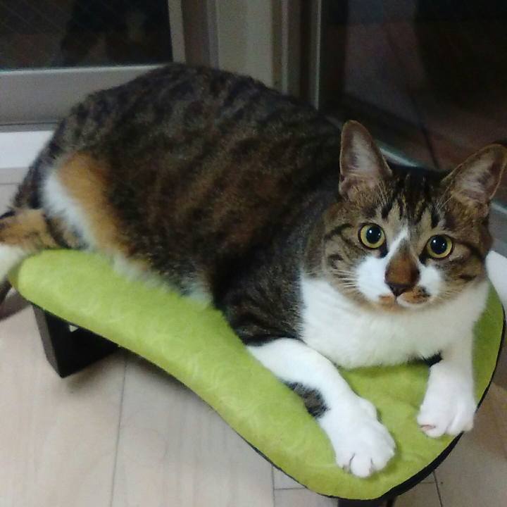 6afa134e 442d 4a68 8efe 14cfc366b22e