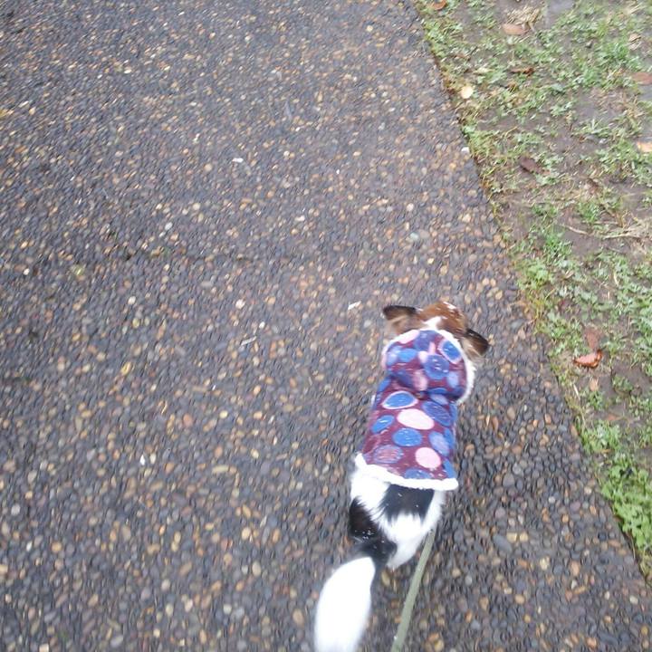 6afaa90b f181 4fdf 8b7c 037c400b5411