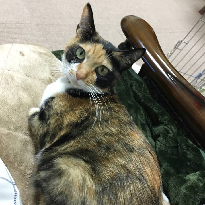 6afb902c ae53 4940 b5d6 0fc626d40c1c