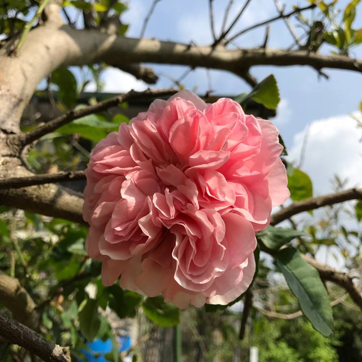 6afc6893 14b8 4d0d a59e 2c549aa48fbb