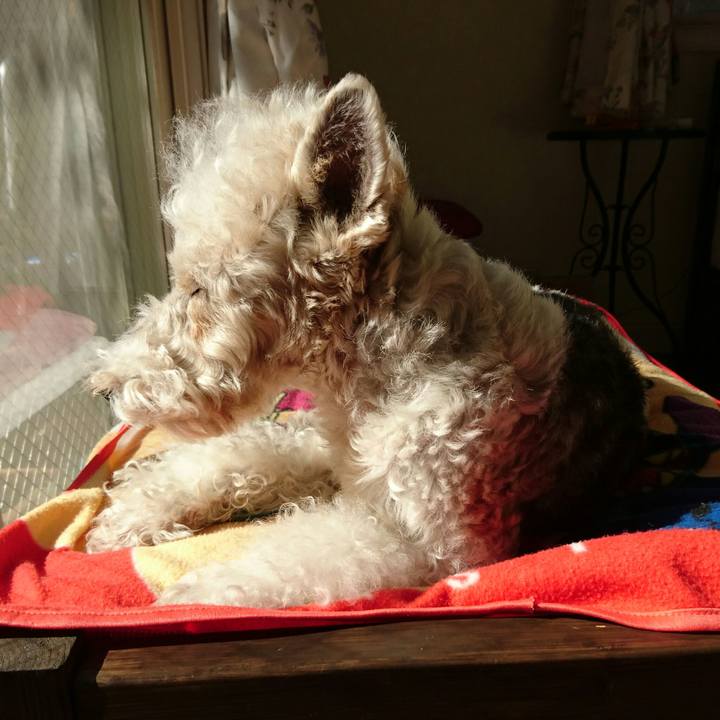 6afc7c67 7b9e 409b a340 0af3e5642eb3