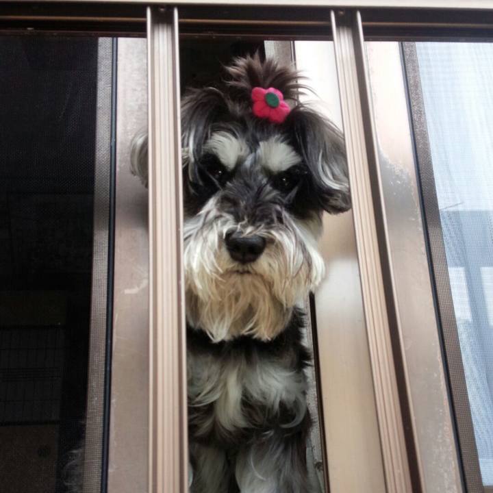 6afcaefc 5edd 42f1 bc22 cfa41eb78532