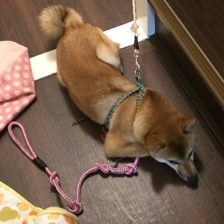 6afcc2fe 3073 4043 8ea3 1e869b290c28