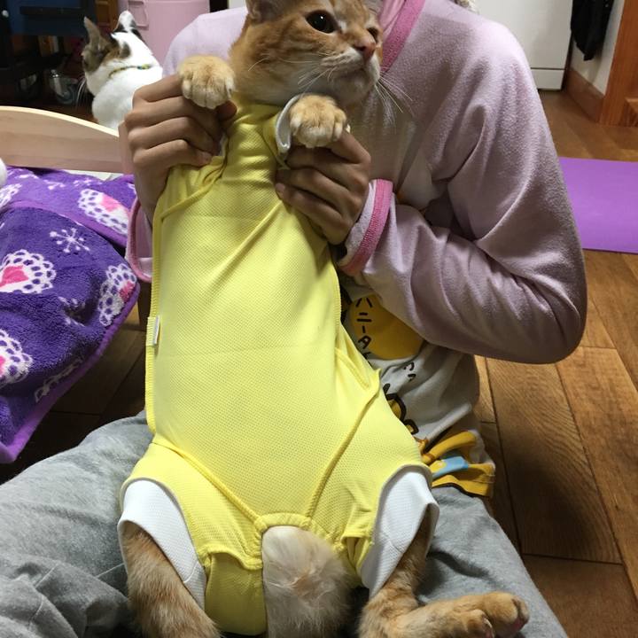 6afe10fa c41d 4122 bf7e 37737d30549e