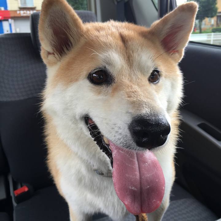 6afe72f2 932f 47cd b307 47a1cda08d3d