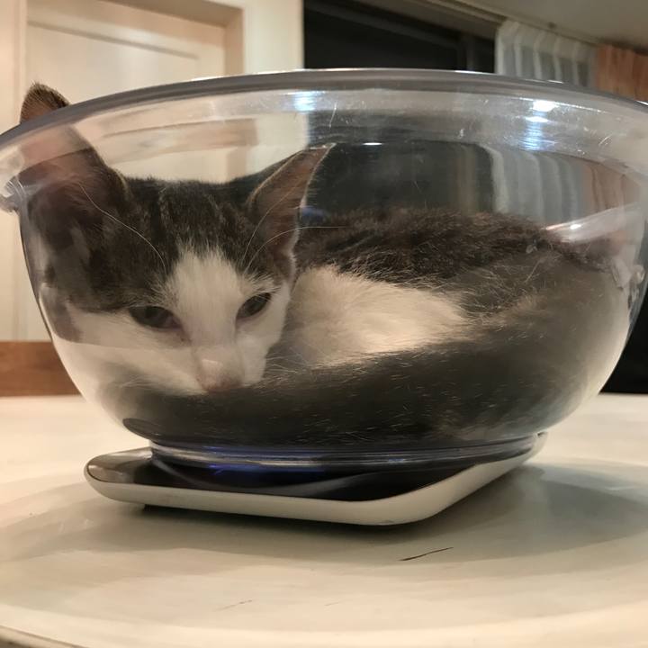 6aff06b7 a789 4213 baa5 d51692374424