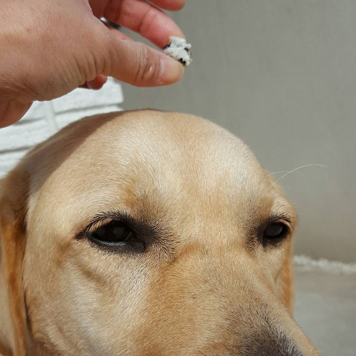 6aff2cee 4900 456c b603 add774270a1d