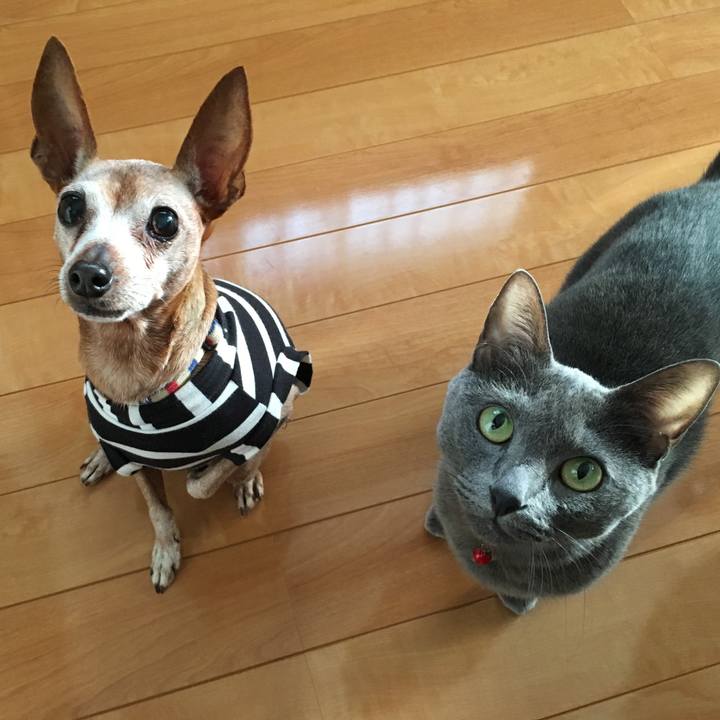 6aff7dcb ccc8 43e6 a814 848abb9c366d