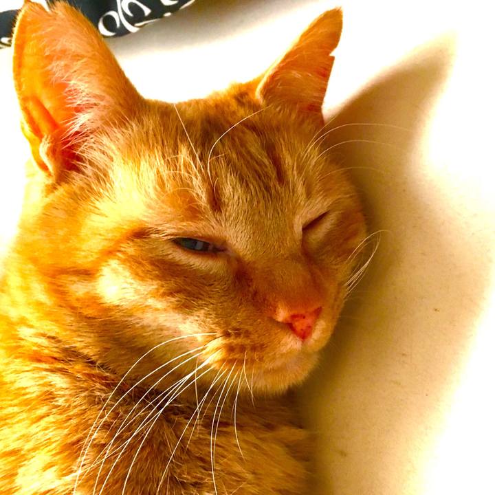 6affc033 7487 4ade bf4f 0e8307366415