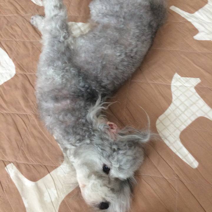 6b003d4e c59e 435a 9a99 8faa7c26ab9c