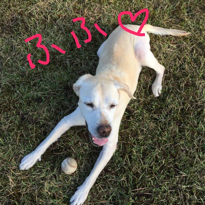 6b00bb70 226a 4314 9dbe 5f325cf213e0