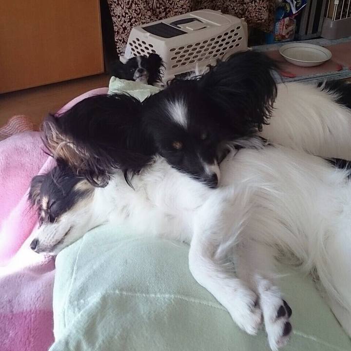 6b013c60 9823 4da2 8a5b 881bc27c5702