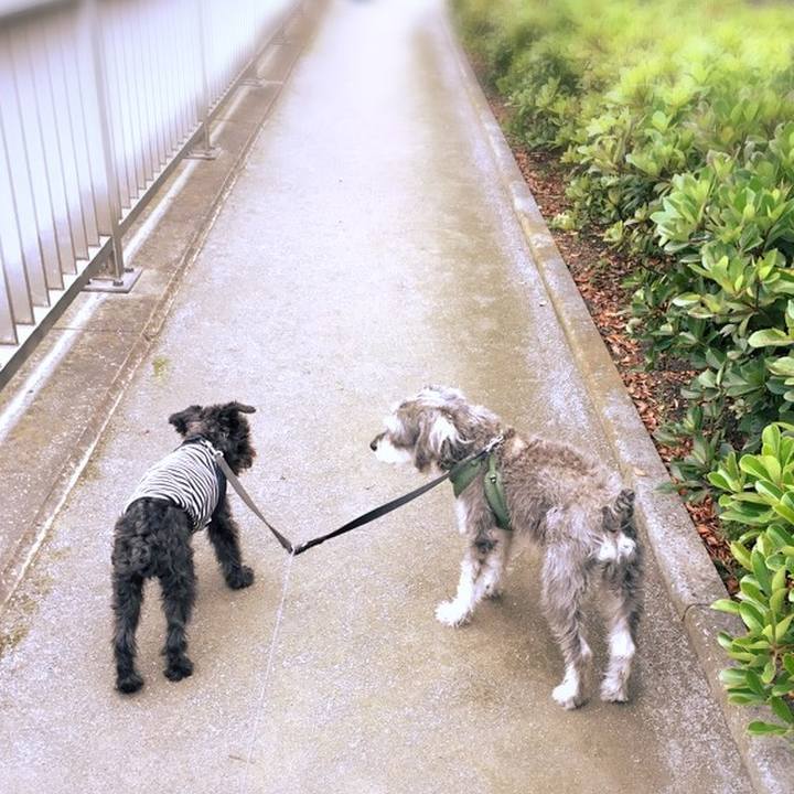 6b01b6da 6e20 482a 947d 6bec23abd5c1