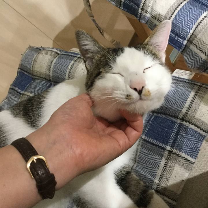 6b01bb65 973c 4f4b aee7 8b460cd23cae