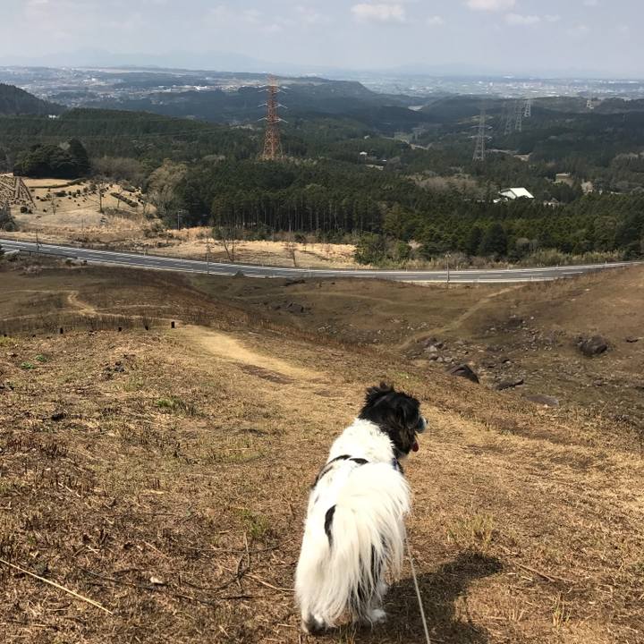 6b0203ef 6433 4193 a320 161bd5f4e7fa