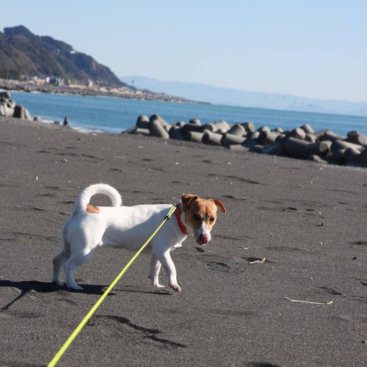 6b023d17 46d0 4cfe bff0 4b9259f654ab