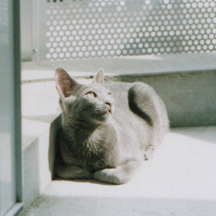 6b034a26 4812 487d be01 c979e868ec5d