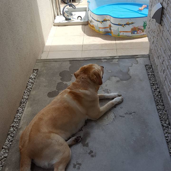 6b0385fa 9c52 432f a652 71d45a6dc53d