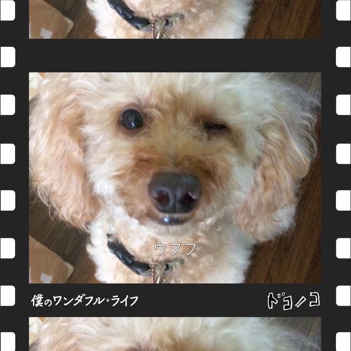 6b039756 2527 4450 a218 fd4a2c49aeea