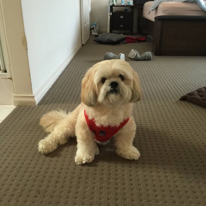 6b03cc33 fb73 4514 b2bc 3c64a0c44f64