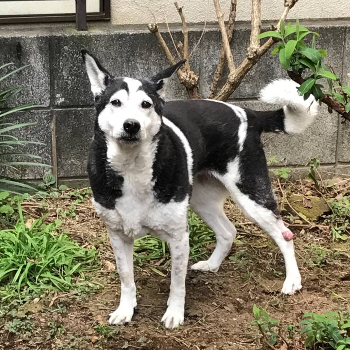 6b043723 da90 432e b323 18cb9472e610