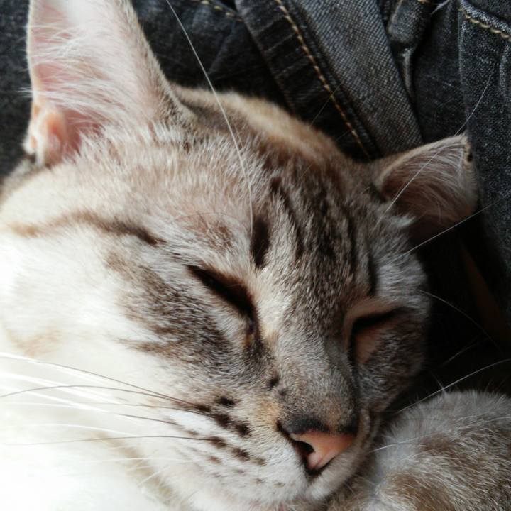 6b04731f 7939 4b60 8adb 402e71aa5f0b