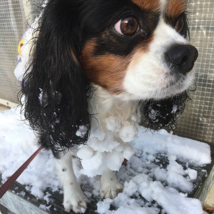 6b049a7e 5051 4c5e 8b92 fa8b4358c34c