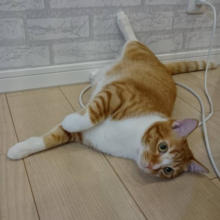 6b04d66e f724 4a74 a7ba c54c821771b2