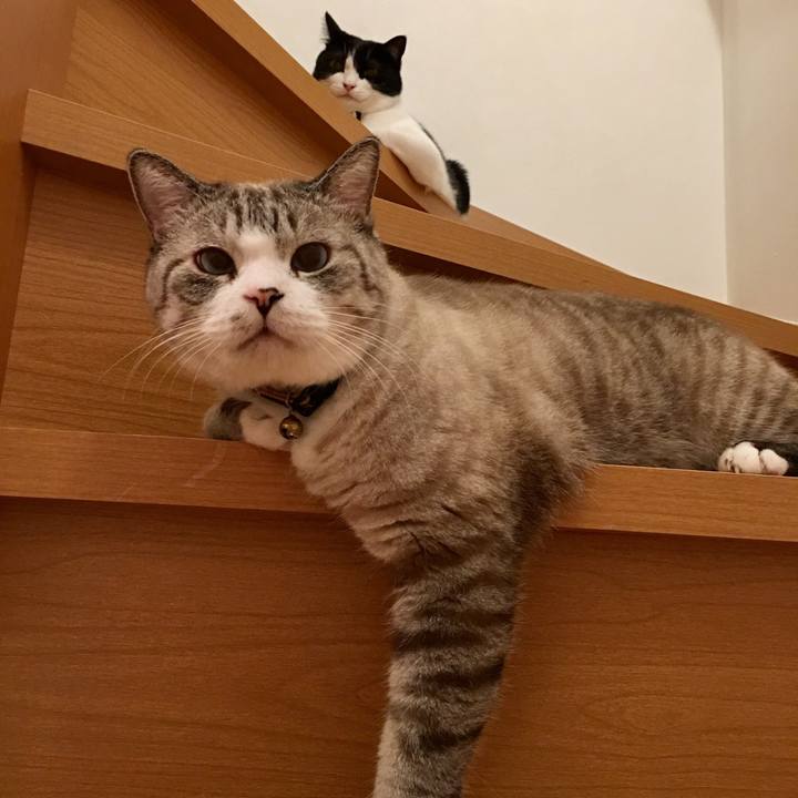 6b04e806 4494 4093 8320 0e6c9a68367e