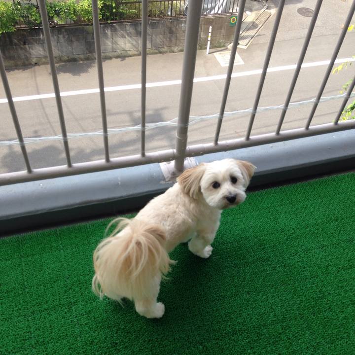 6b04f266 f579 45a0 bb6d be837162503f