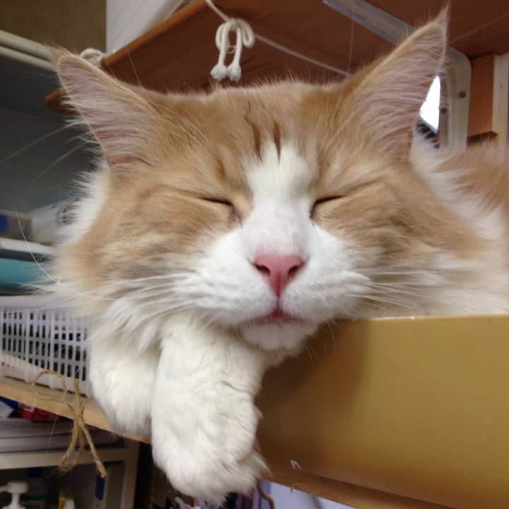 6b054e29 584c 4597 a9ea 931e2e3a524e