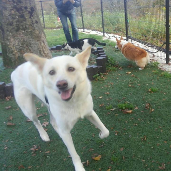 6b055817 dbef 4bf5 8343 233997c7b3b4