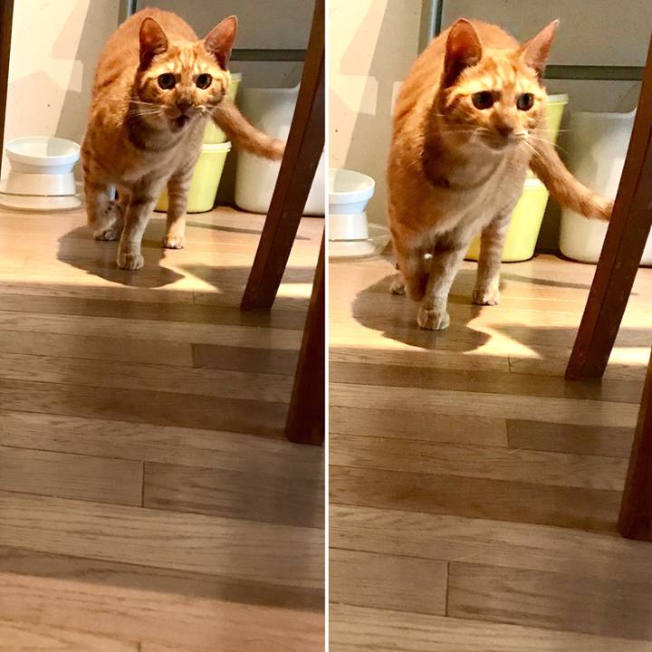 6b056d23 6dd4 4341 aa3e 9e7140bb431b