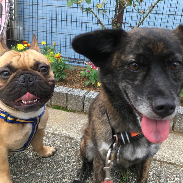 6b05a38e 4270 4ee7 a1d5 db6760836ad3