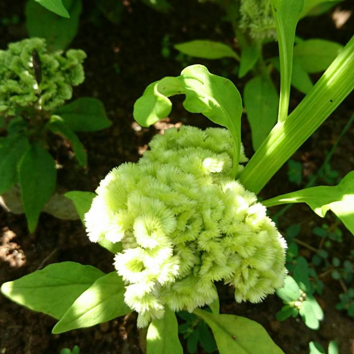 6b05beaf db9d 47a9 acf1 d1d642cb555c