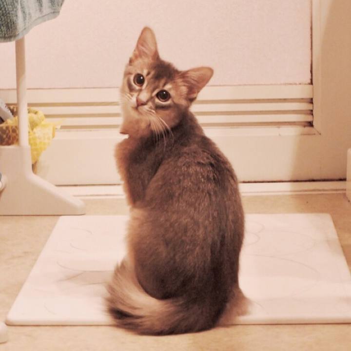 6b05f7a2 39c3 4a7f beb2 7c8a21ded023