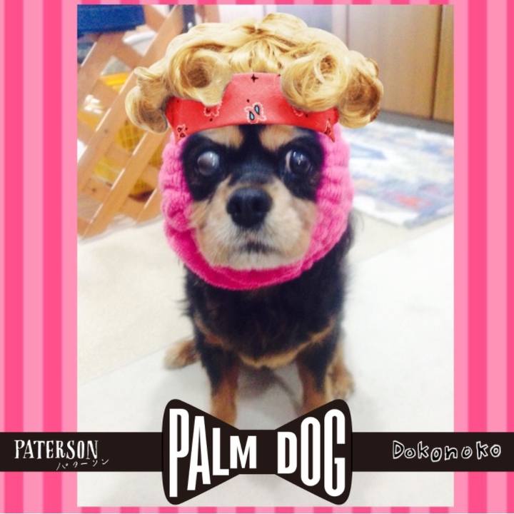 6b063e92 7802 445a bfbe 2b4e5b8520ae