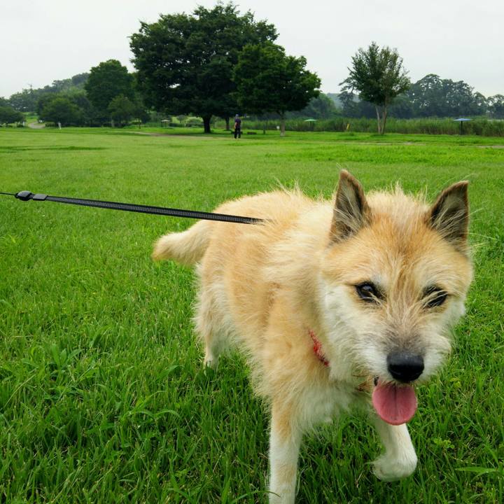 6b065580 7028 4620 bc1c b988666ece09