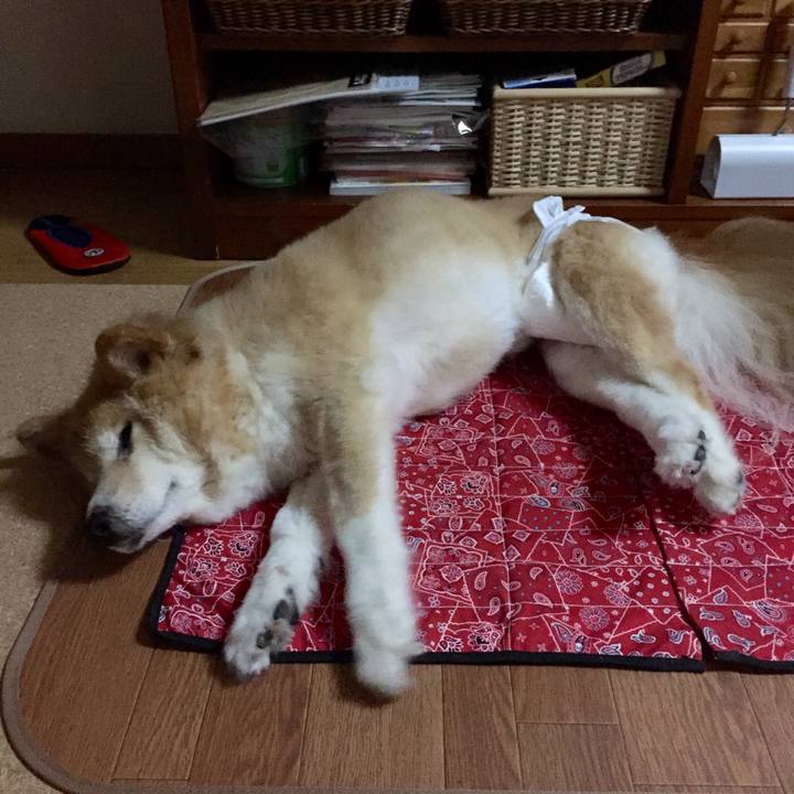 6b0759a6 bbaa 4a36 bed7 0ca889278066