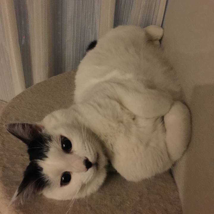 6b07f06e e68f 4003 91dd ca0c94730777