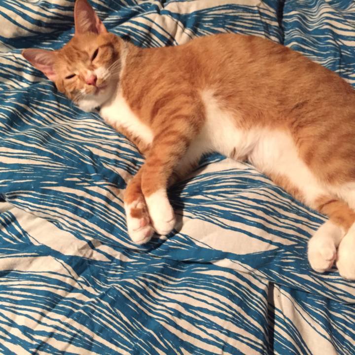 6b0864e9 b8bb 43ed 949b f1fc9972b3fd