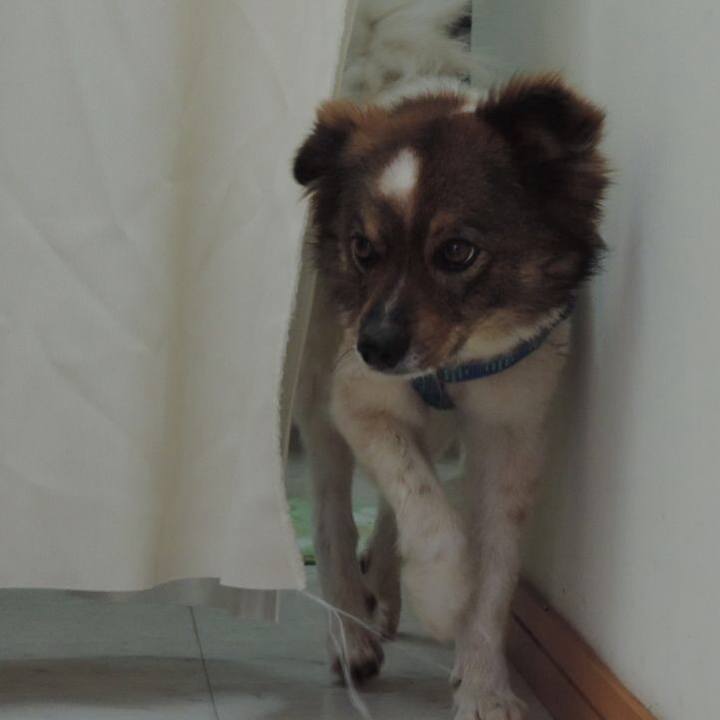 6b087ee7 844f 46cc b98f 2d7a46545bb9