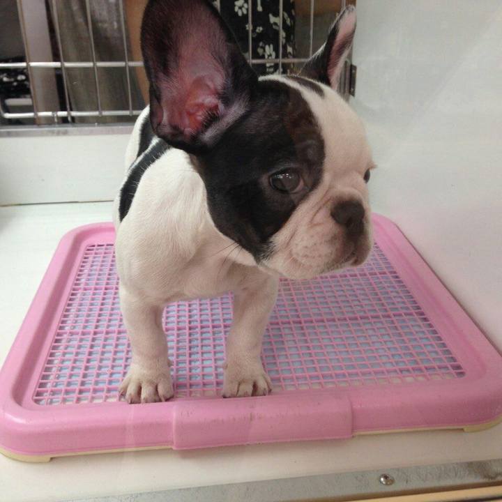 6b09240b 7ea4 4060 8509 ca60ddb662ba